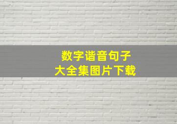 数字谐音句子大全集图片下载