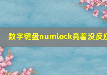 数字键盘numlock亮着没反应