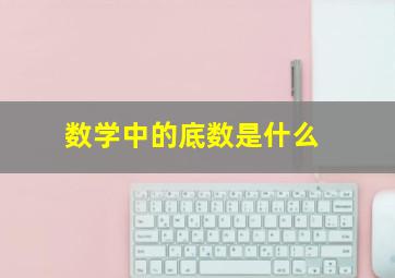 数学中的底数是什么