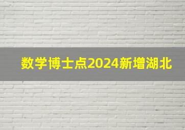 数学博士点2024新增湖北