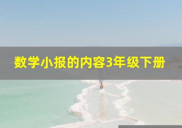 数学小报的内容3年级下册