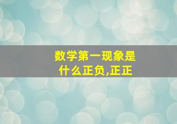 数学第一现象是什么正负,正正