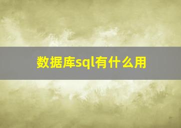 数据库sql有什么用