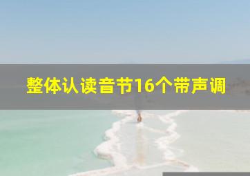 整体认读音节16个带声调