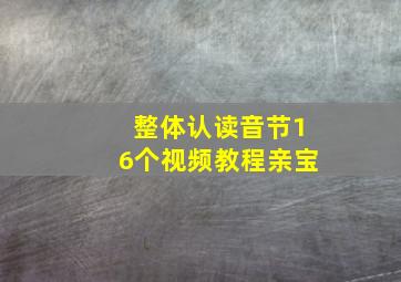 整体认读音节16个视频教程亲宝