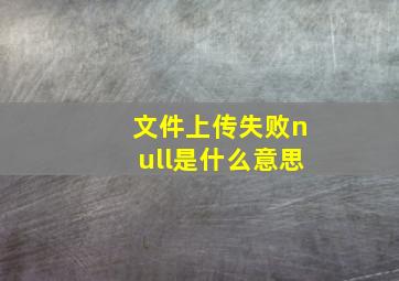 文件上传失败null是什么意思