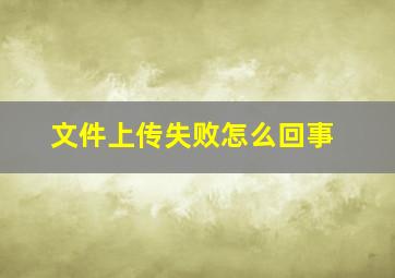 文件上传失败怎么回事