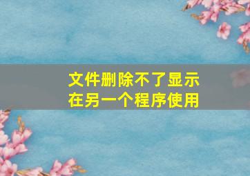 文件删除不了显示在另一个程序使用