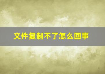 文件复制不了怎么回事