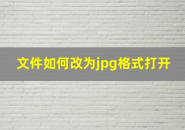 文件如何改为jpg格式打开