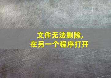 文件无法删除,在另一个程序打开