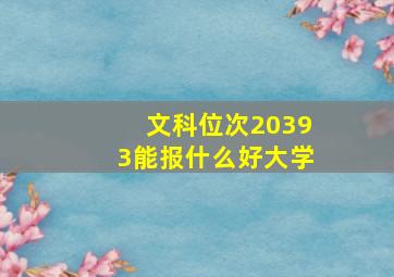 文科位次20393能报什么好大学