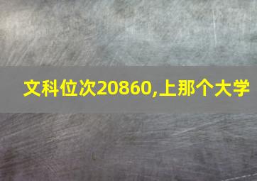 文科位次20860,上那个大学