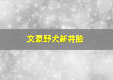 文豪野犬新井脸