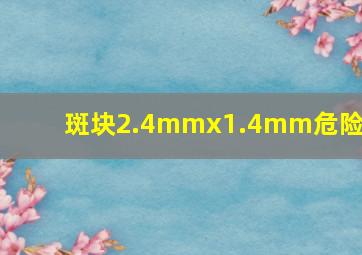 斑块2.4mmx1.4mm危险吗