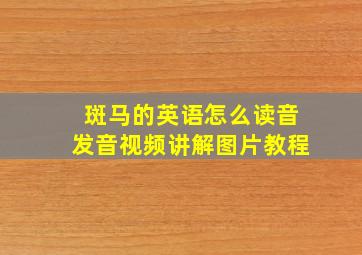 斑马的英语怎么读音发音视频讲解图片教程