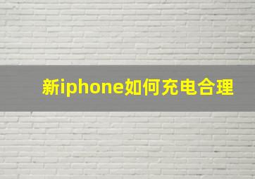 新iphone如何充电合理