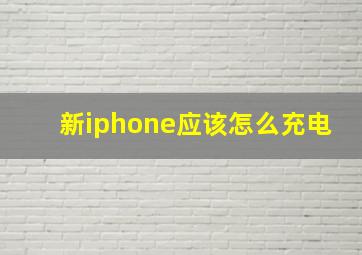 新iphone应该怎么充电