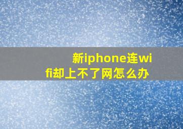 新iphone连wifi却上不了网怎么办