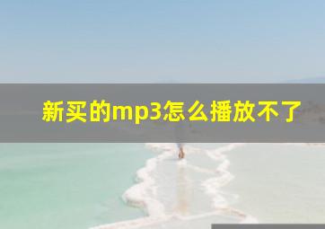 新买的mp3怎么播放不了