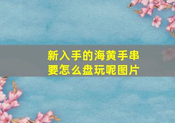 新入手的海黄手串要怎么盘玩呢图片