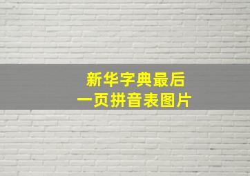 新华字典最后一页拼音表图片