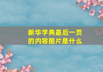 新华字典最后一页的内容图片是什么