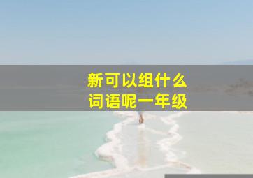 新可以组什么词语呢一年级