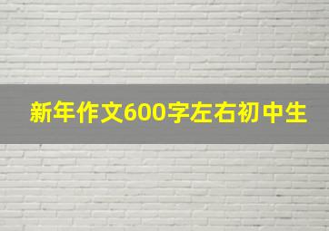 新年作文600字左右初中生