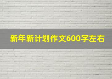 新年新计划作文600字左右