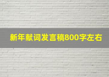 新年献词发言稿800字左右