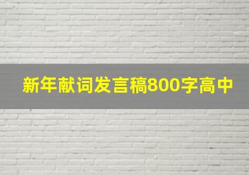 新年献词发言稿800字高中