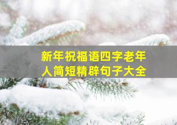 新年祝福语四字老年人简短精辟句子大全