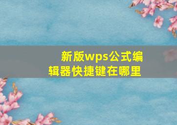 新版wps公式编辑器快捷键在哪里