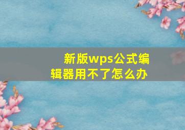 新版wps公式编辑器用不了怎么办