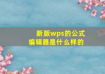 新版wps的公式编辑器是什么样的