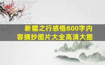 新疆之行感悟800字内容摘抄图片大全高清大图