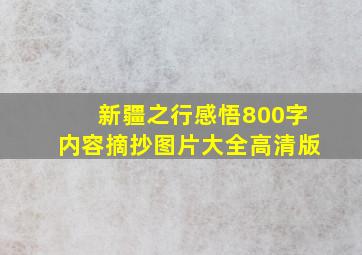 新疆之行感悟800字内容摘抄图片大全高清版