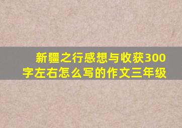 新疆之行感想与收获300字左右怎么写的作文三年级