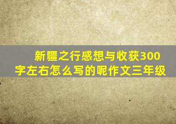 新疆之行感想与收获300字左右怎么写的呢作文三年级