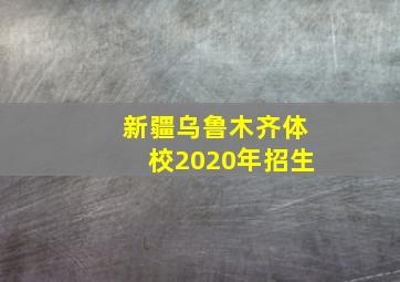 新疆乌鲁木齐体校2020年招生