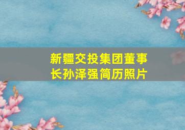 新疆交投集团董事长孙泽强简历照片