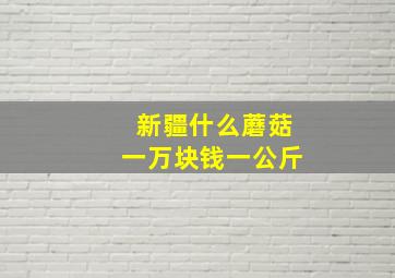 新疆什么蘑菇一万块钱一公斤