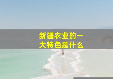 新疆农业的一大特色是什么