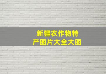 新疆农作物特产图片大全大图