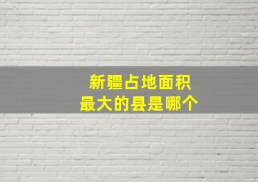 新疆占地面积最大的县是哪个