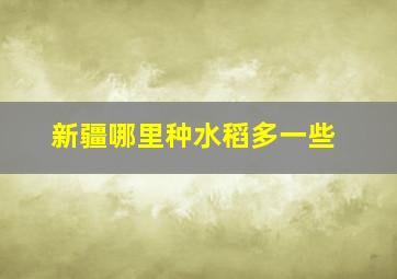 新疆哪里种水稻多一些