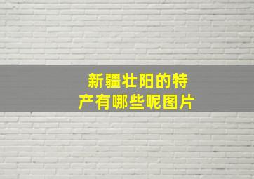 新疆壮阳的特产有哪些呢图片