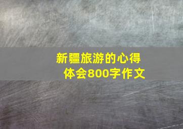 新疆旅游的心得体会800字作文