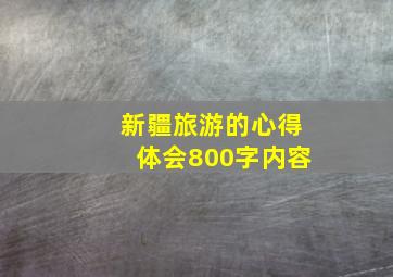 新疆旅游的心得体会800字内容